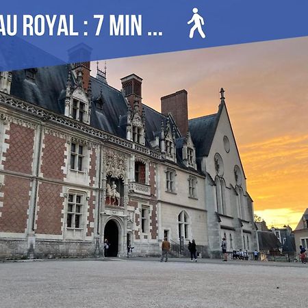 Charme & Calme A 200M Du Chateau Блуа Экстерьер фото