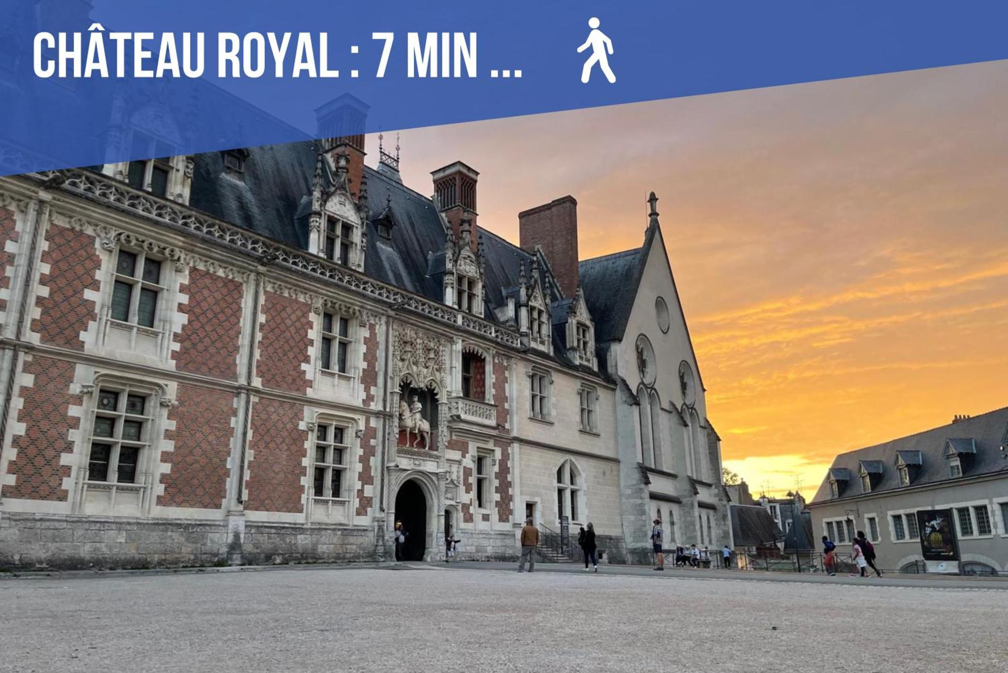 Charme & Calme A 200M Du Chateau Блуа Экстерьер фото